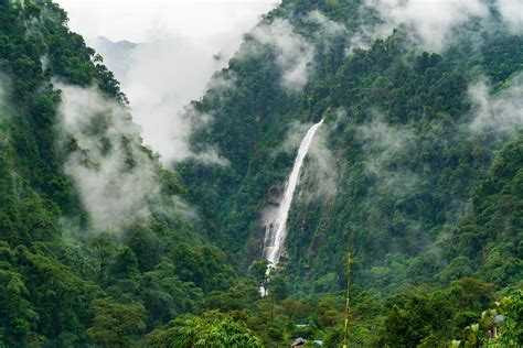 are there any rainforests in china